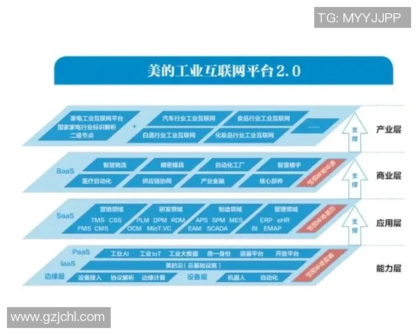 杭州排球队的转型之路：从传统强队到现代化竞技新标杆的探索与实践