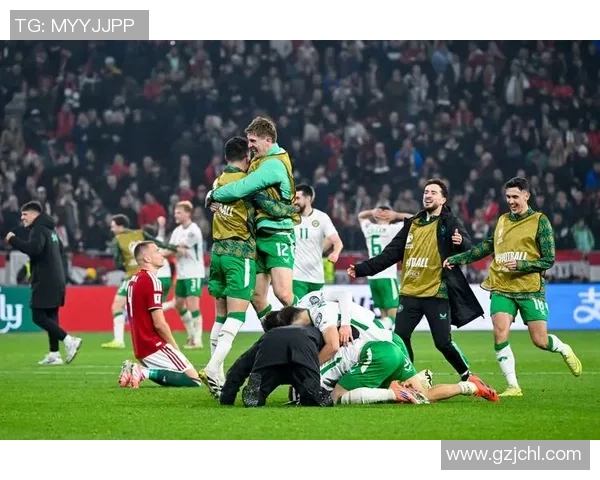 匈牙利足球明星遭枪杀震惊世界足球界引发广泛关注与哀悼