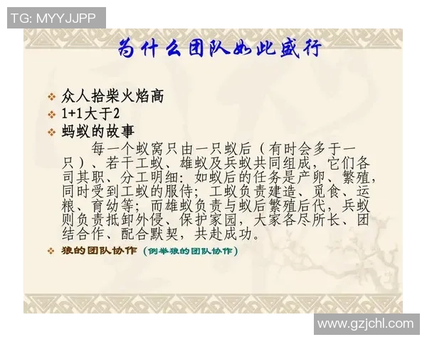 南京乒乓球队与广州乒乓球队赛后复盘团队协作的成功与不足分析 南京乒乓球队与广州乒乓球队赛后复盘团队协作的成功与不足分析