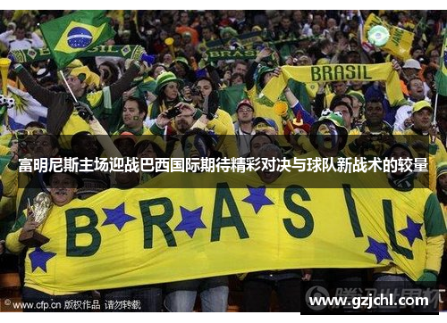 富明尼斯主场迎战巴西国际期待精彩对决与球队新战术的较量