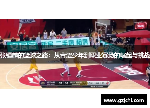 张镇麟的篮球之路：从青涩少年到职业赛场的崛起与挑战
