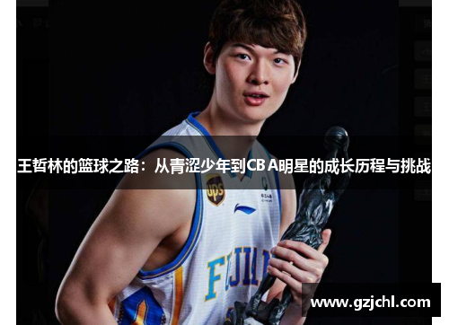王哲林的篮球之路：从青涩少年到CBA明星的成长历程与挑战